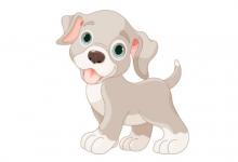 屬豬人和屬狗人適合做夫妻嗎？