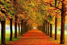 農歷六月十九出生的人命運如何