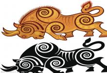 女牛男虎屬相的人婚后二人的感情會穩(wěn)定嗎?