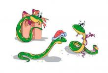 2001年屬蛇男女2021年運程 2001年20歲生肖屬蛇人2021年運勢