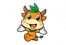 2009年屬牛的人2021年運程 牛年命運如何