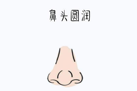 從鼻子看人的運勢如何