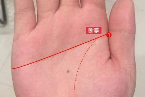 左手?jǐn)嗾萍y的男人運勢分析