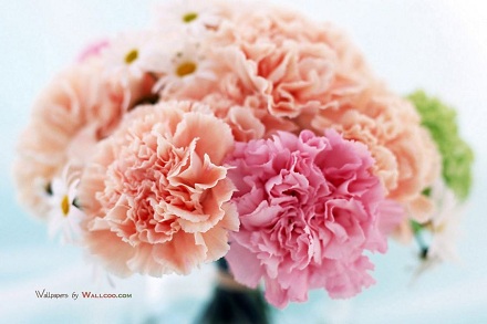 2020年母親節出生五行缺金男孩的名字推薦!(圖文)