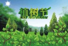 2020年植樹節出生的鼠寶寶小名 寶寶乳名取名大全