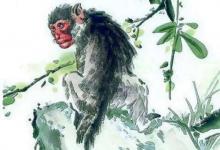 屬猴人2020年10月運勢運程分析