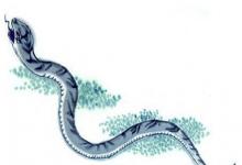 女蛇男猴感情狀態穩定嗎？