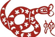 男蛇女狗能不能相配?