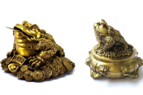 金蟾擺放的注意事項