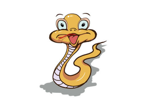 屬蛇人的辦公室風水布置