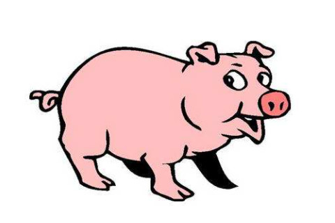 屬豬人的辦公室風水布置