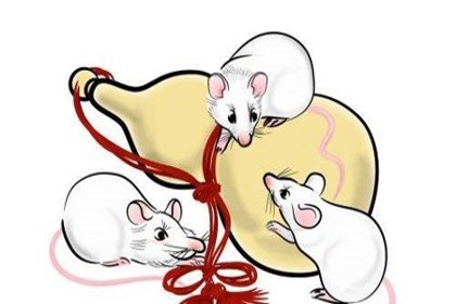 屬鼠與屬虎的相克嗎 在其他關系中相配嗎