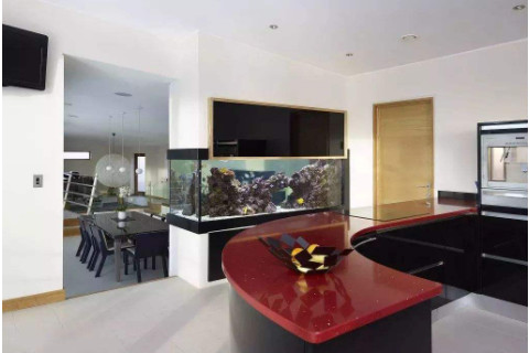 公司魚缸擺放風水禁忌