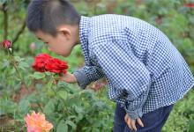 如何為男孩取英文名字?