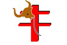 屬牛的寶寶幾月出生命優秀