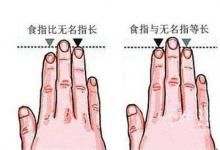 無名指和食指之間的關(guān)系