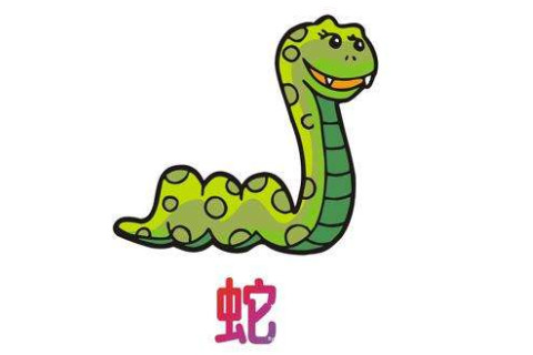 屬蛇人幾月出生最好