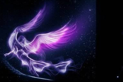 8月24出生的人是什么星座