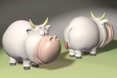 屬牛35歲是什么命