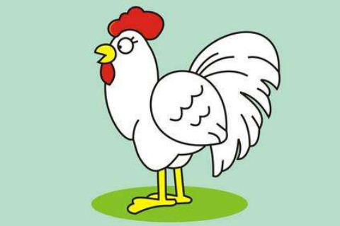 雞年出生的人性格和運勢