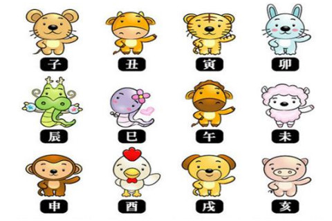 屬相適合的樓層