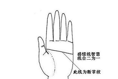 斷掌是代表著什么意思?