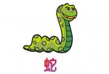 屬蛇人幾月出生優秀