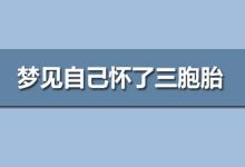 夢見自己懷了三胞胎
