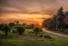 庚辰年出生的人命運(yùn)如何