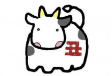 2020年屬牛人多大年齡