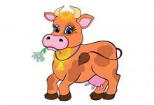 屬牛人在2021年要如何改善運勢