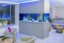 辦公室魚缸的注意事項(xiàng)