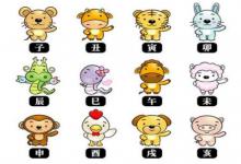 屬相適合的樓層