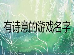 2002優(yōu)秀聽有詩意的游戲名字