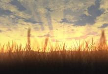 夢(mèng)見找東西