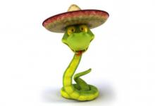 屬蛇男人和什么屬相相配?