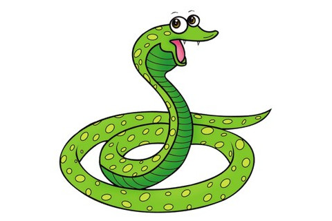 屬蛇的本命年運(yùn)勢(shì)如何？