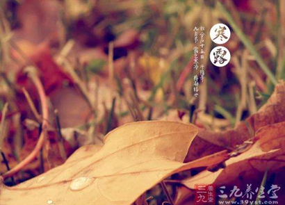 2020年寒露節氣出生的屬鼠寶寶命運好嗎,是什么命?