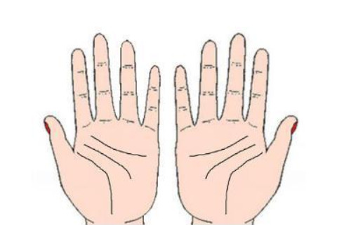 川字掌的女人命運分析