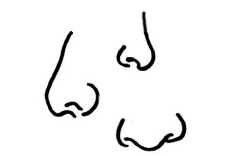 面相鼻子大代表什么?