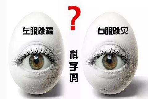 星期三左眼跳預(yù)兆著什么?