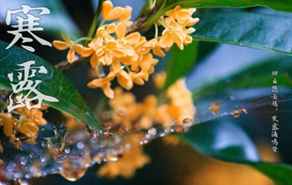 99年屬兔的人寒露出生命局如何,2020年寒露幾點(diǎn)幾分