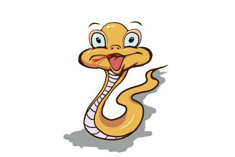 1893年是屬什么生肖?