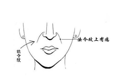法令紋面相圖解大全