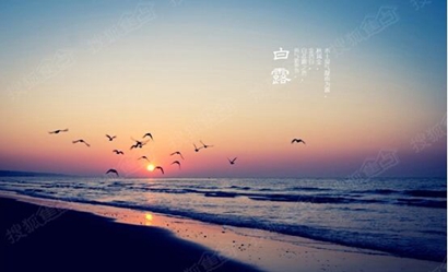 2020年白露節(jié)氣出生的屬鼠寶寶命運(yùn)好不好？