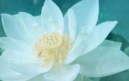 99年屬兔的人寒露出生命局如何,2020年寒露幾點(diǎn)幾分