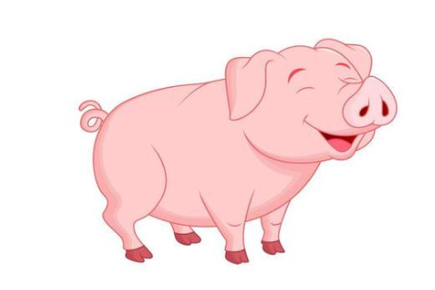 1995年是什么生肖?1995年屬豬是什么命?