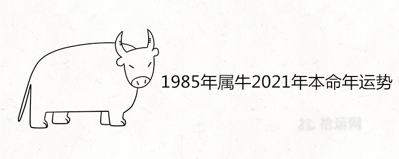 1985年屬牛2021年本命年運(yùn)勢(shì)好不好