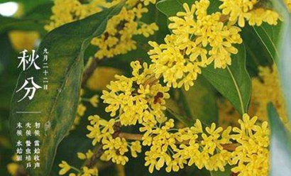 2001年屬蛇秋分9月23日出生的人命運如何?