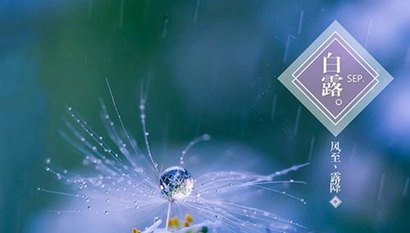 2020年白露節(jié)氣出生的屬鼠寶寶命運(yùn)好不好？